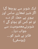 Sohar Shair Biwi aur Saas